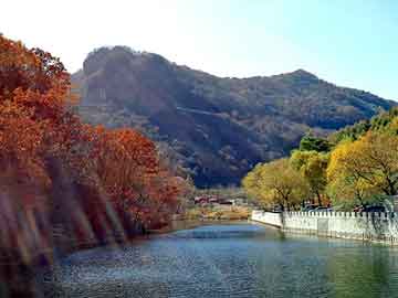 澳门天天彩期期精准平肖，湟中网站建设